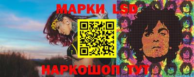 стафф Новозыбков