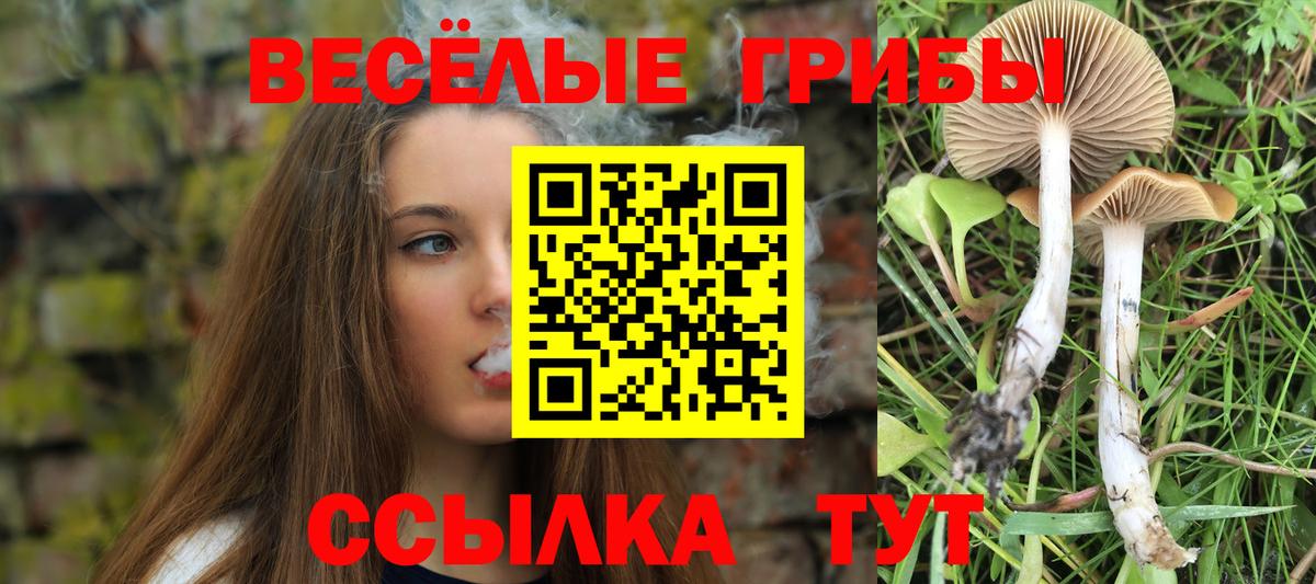 Галлюциногенные грибы мицелий Чапаевск