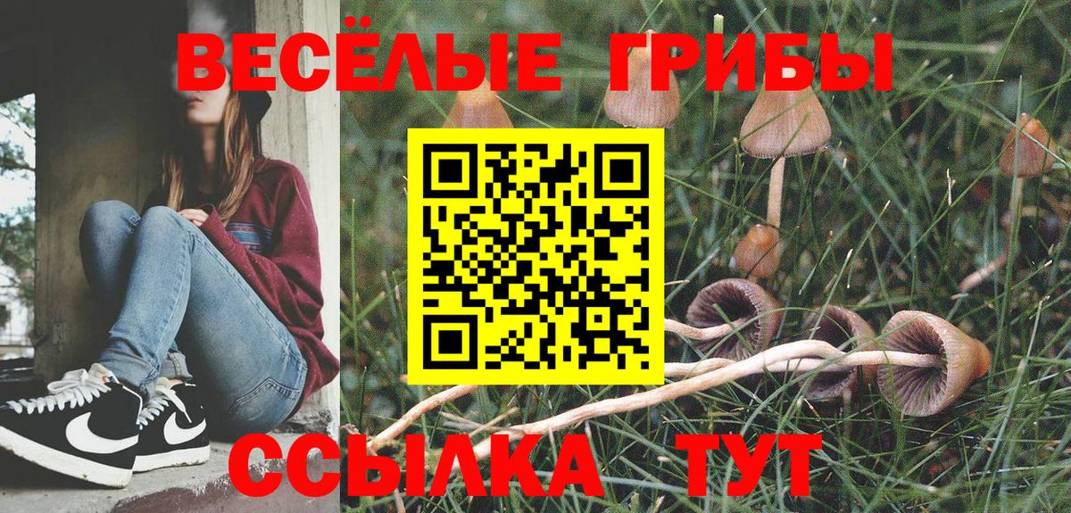 Чапаевск  Псилоцибиновые грибы мицелий  Псилоцибиновые грибы Psilocybine cubensis  Вход с VPN 